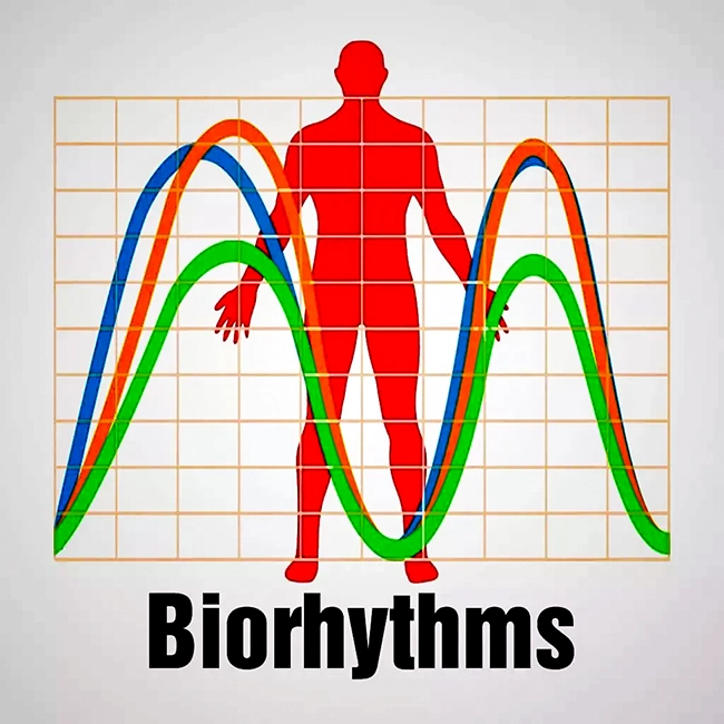 bioritm